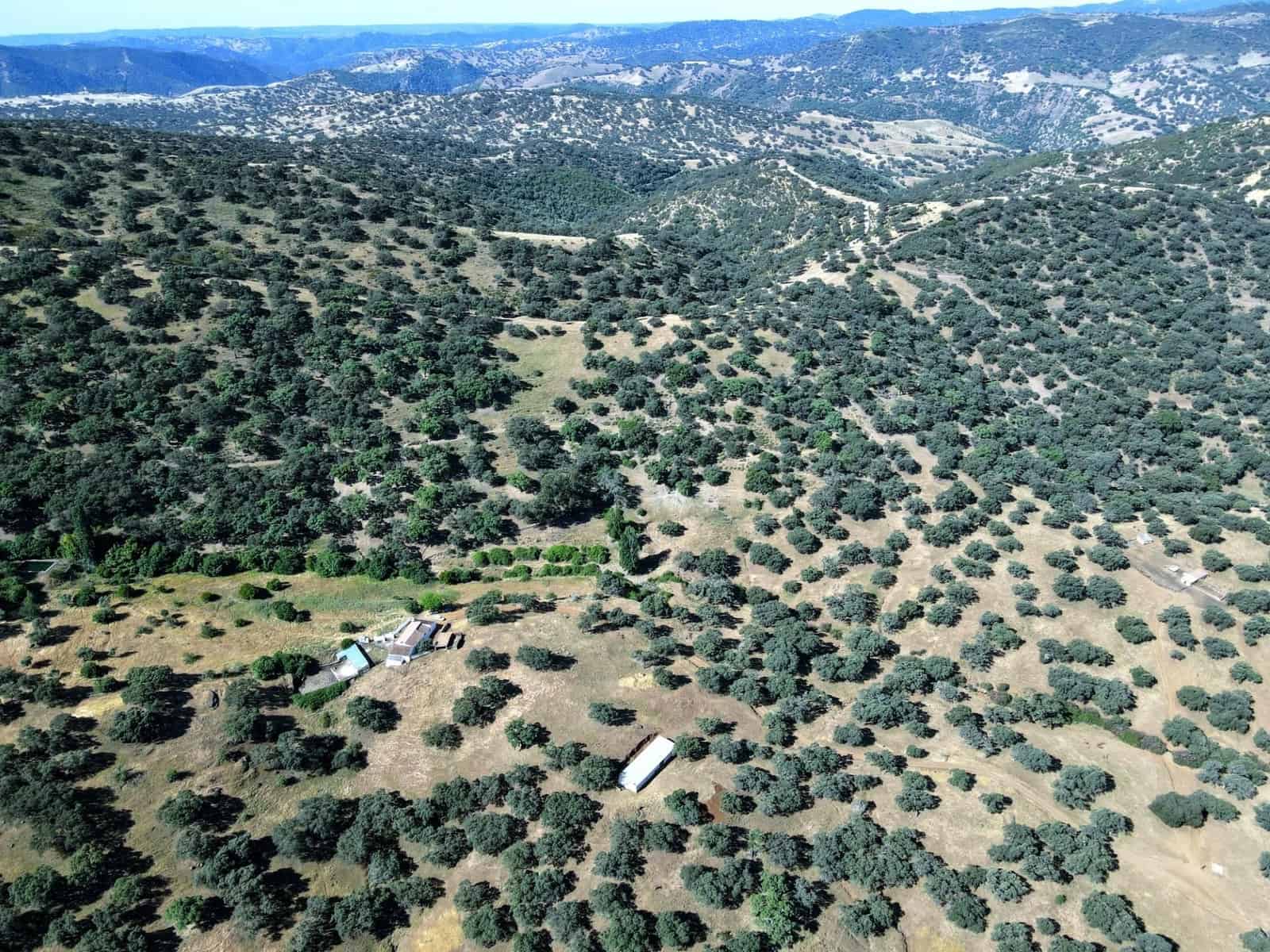 Ubebygd land til salgs i Cazalla de la Sierra - € 695 000 (Ref: 9282301)