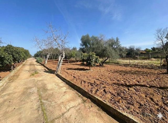 Tomt till salu i Dos Hermanas - 150 000 € (Ref: 9721809)