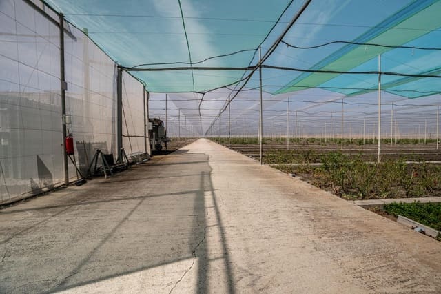 Grunde uden byggetilladelser til salg i Utrera - € 650.000 (Ref: 9726753)