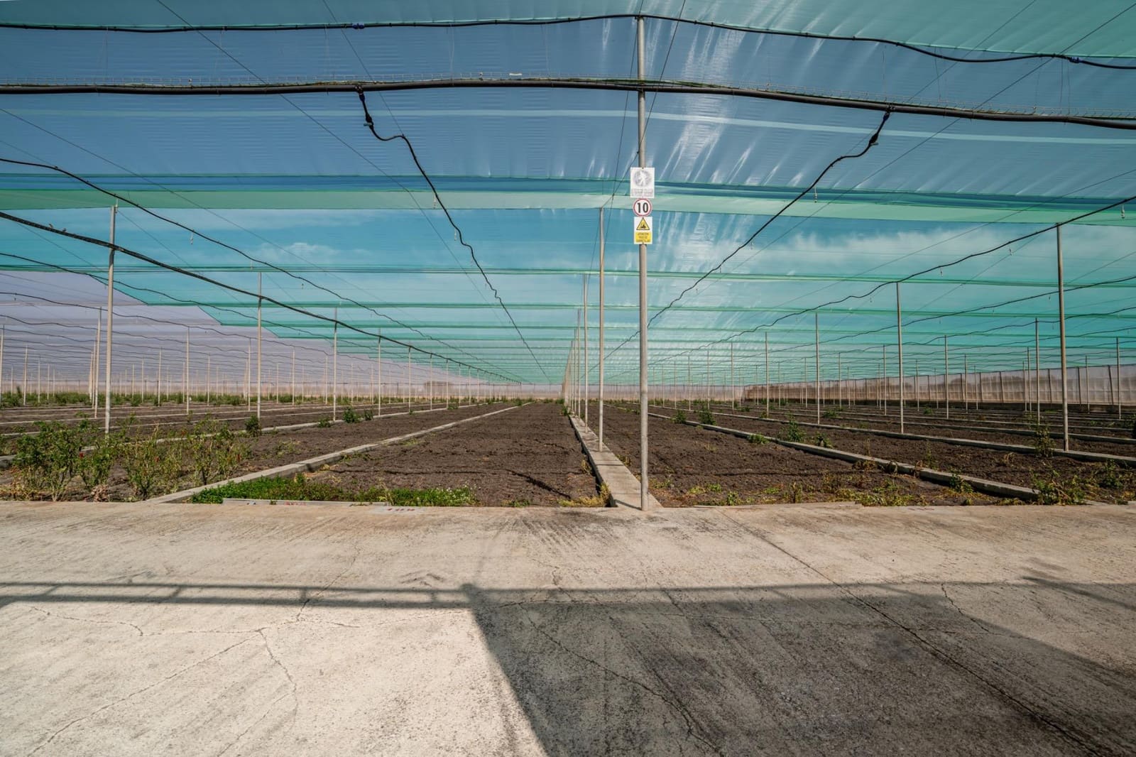 Undeveloped Land for sale in Utrera - € 650,000 (Ref: 9726753)