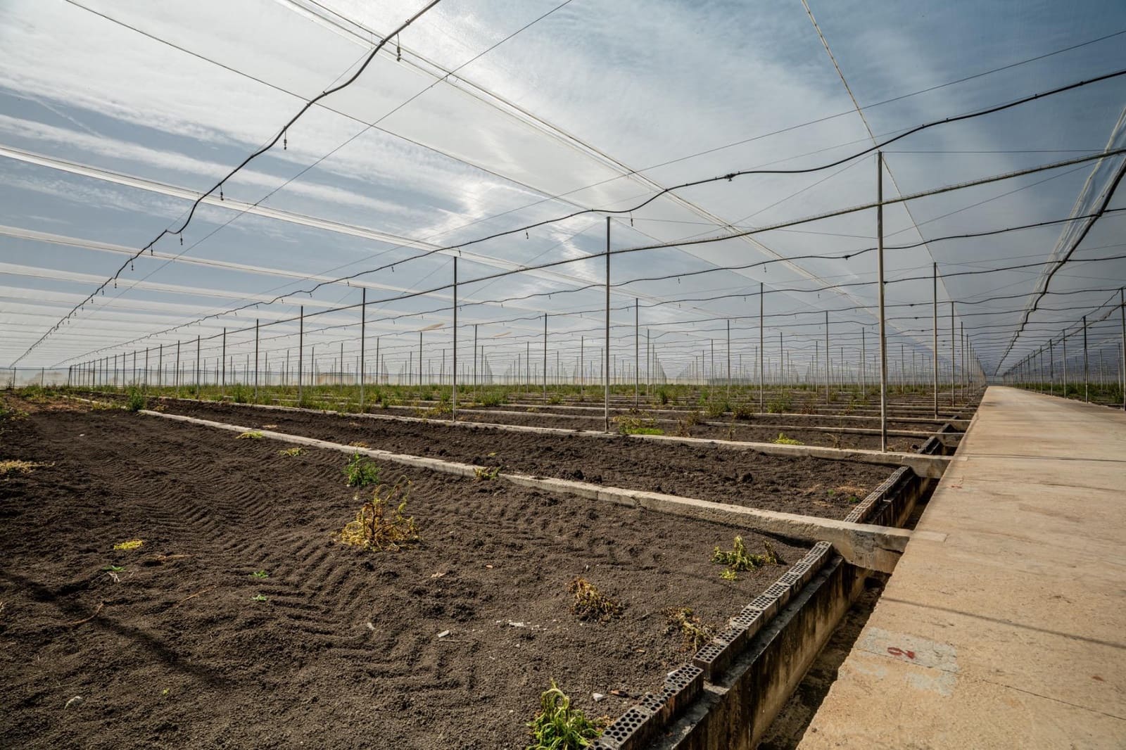 Undeveloped Land for sale in Utrera - € 650,000 (Ref: 9726753)