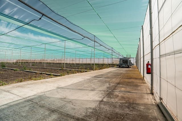 Grunde uden byggetilladelser til salg i Utrera - € 650.000 (Ref: 9726753)