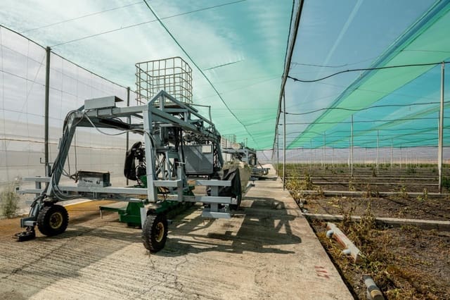 Grunde uden byggetilladelser til salg i Utrera - € 650.000 (Ref: 9726753)