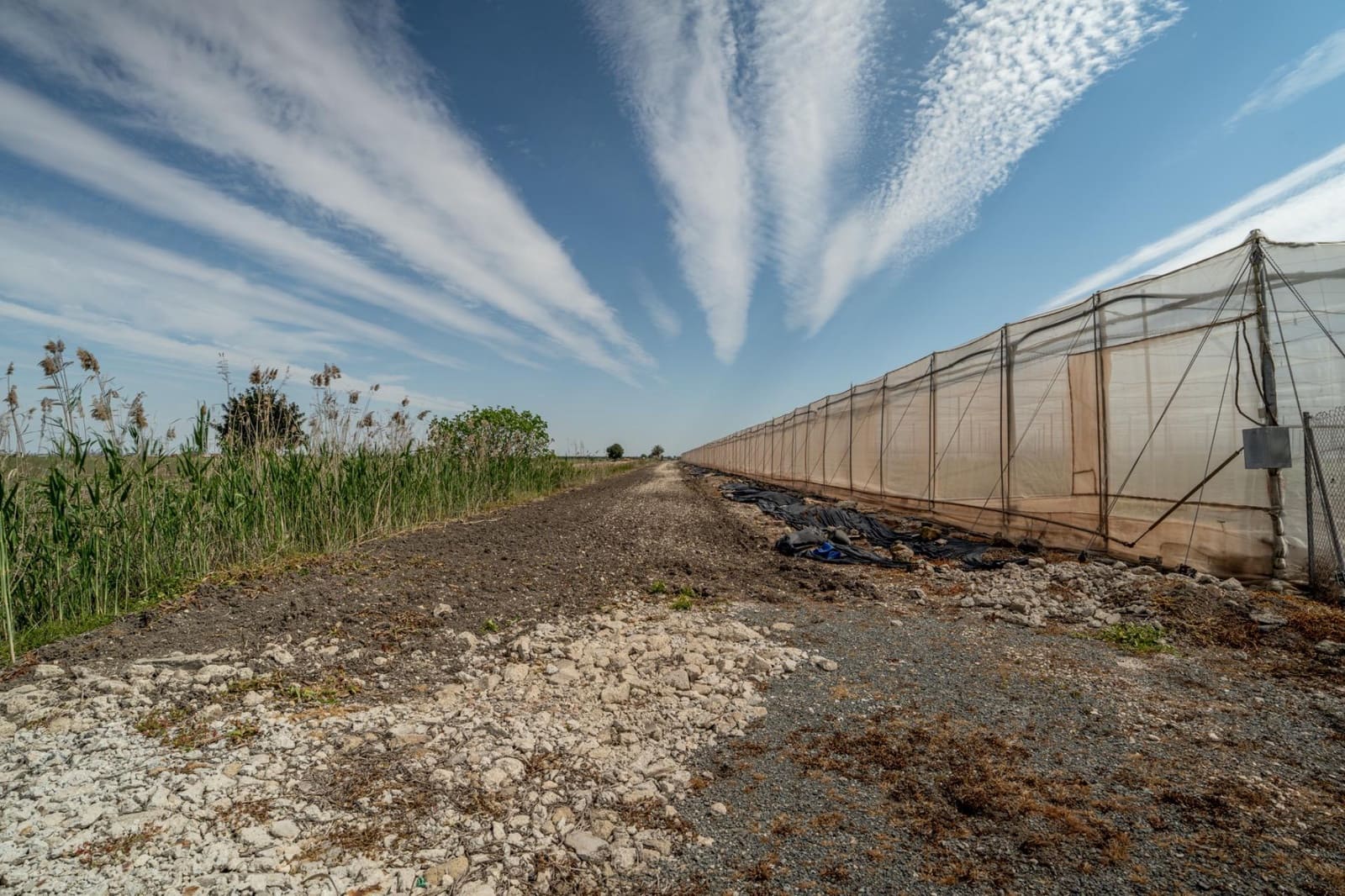 Undeveloped Land for sale in Utrera - € 650,000 (Ref: 9726753)