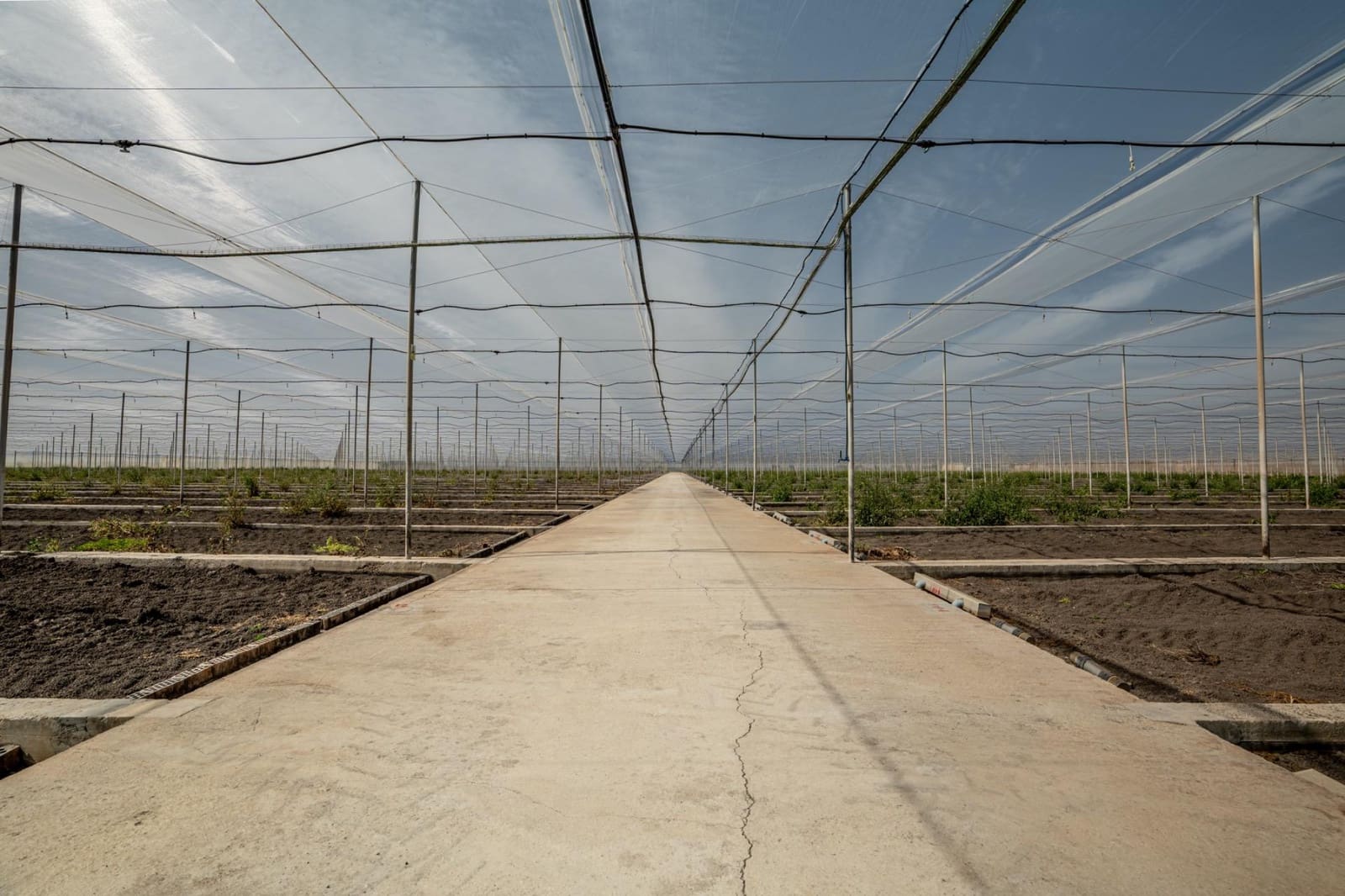 Undeveloped Land for sale in Utrera - € 650,000 (Ref: 9726753)