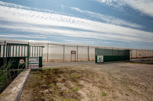 Grunde uden byggetilladelser til salg i Utrera - € 650.000 (Ref: 9726753)