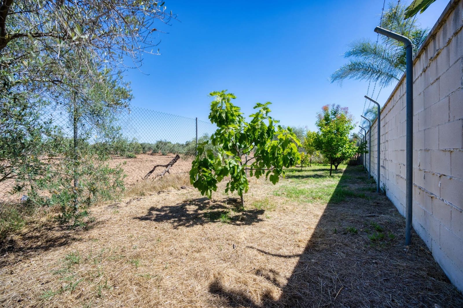 3 bedroom Villa for sale in Carmona with pool - € 520,000 (Ref: 9812242)