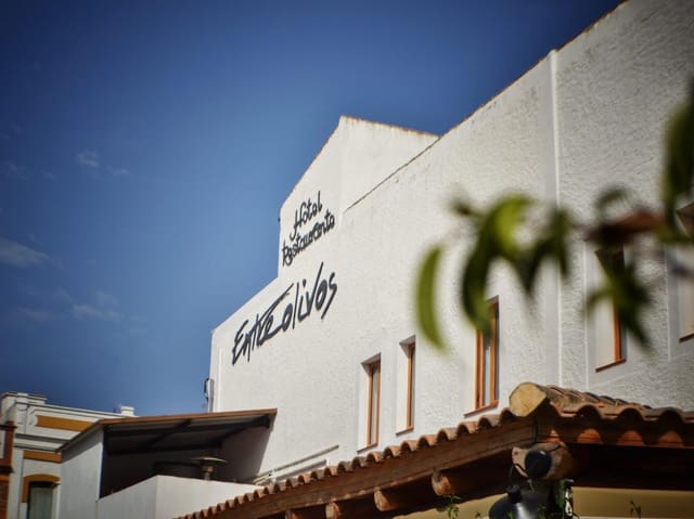 9 camera da letto Hotel in vendita in El Pedroso con piscina - 580.000 € (Rif: 9836424)