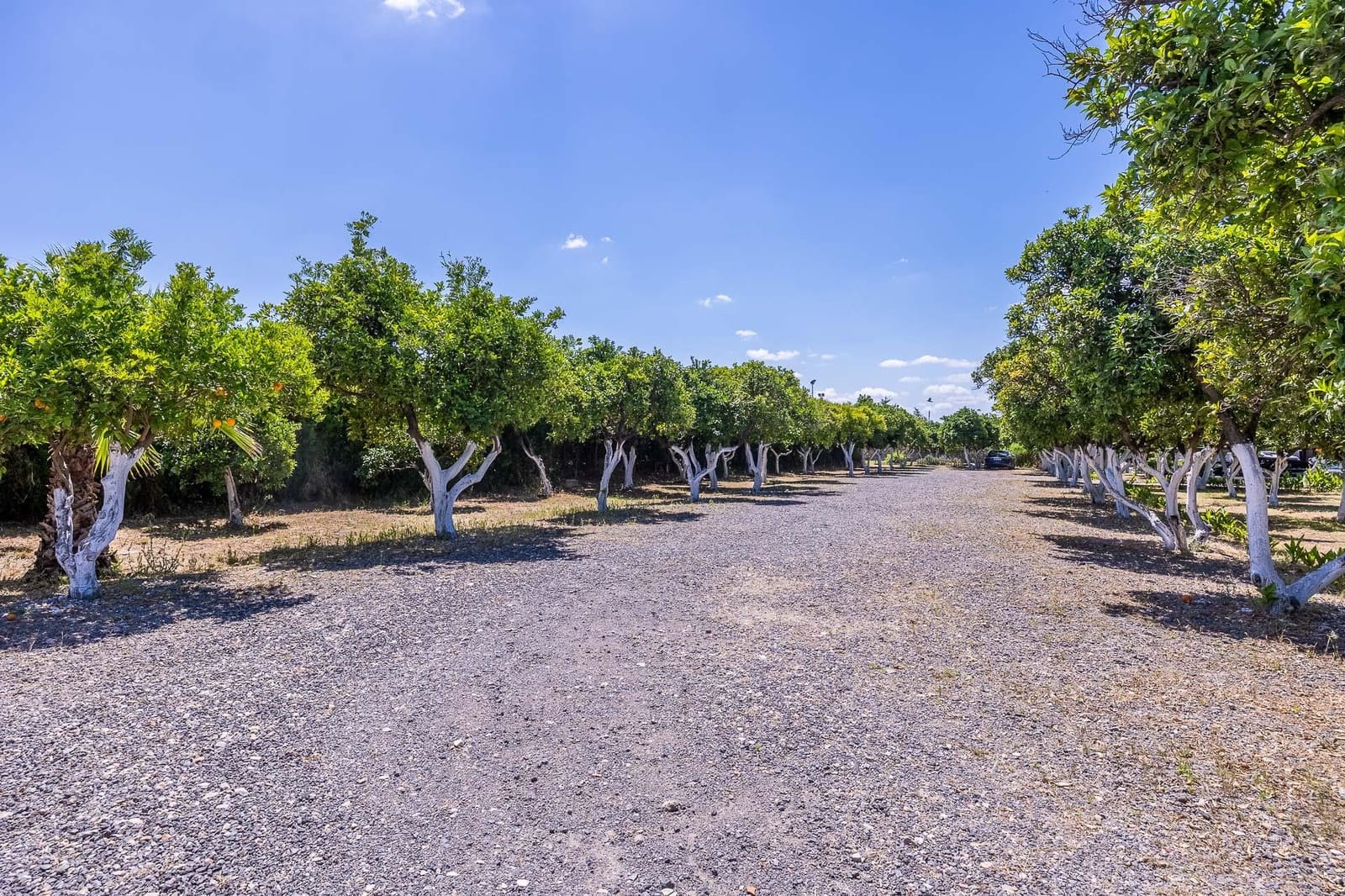 7 soverom Finca/Herregård til salgs i Sanlucar la Mayor med svømmebasseng garasje - € 1 245 500 (Ref: 9861966)
