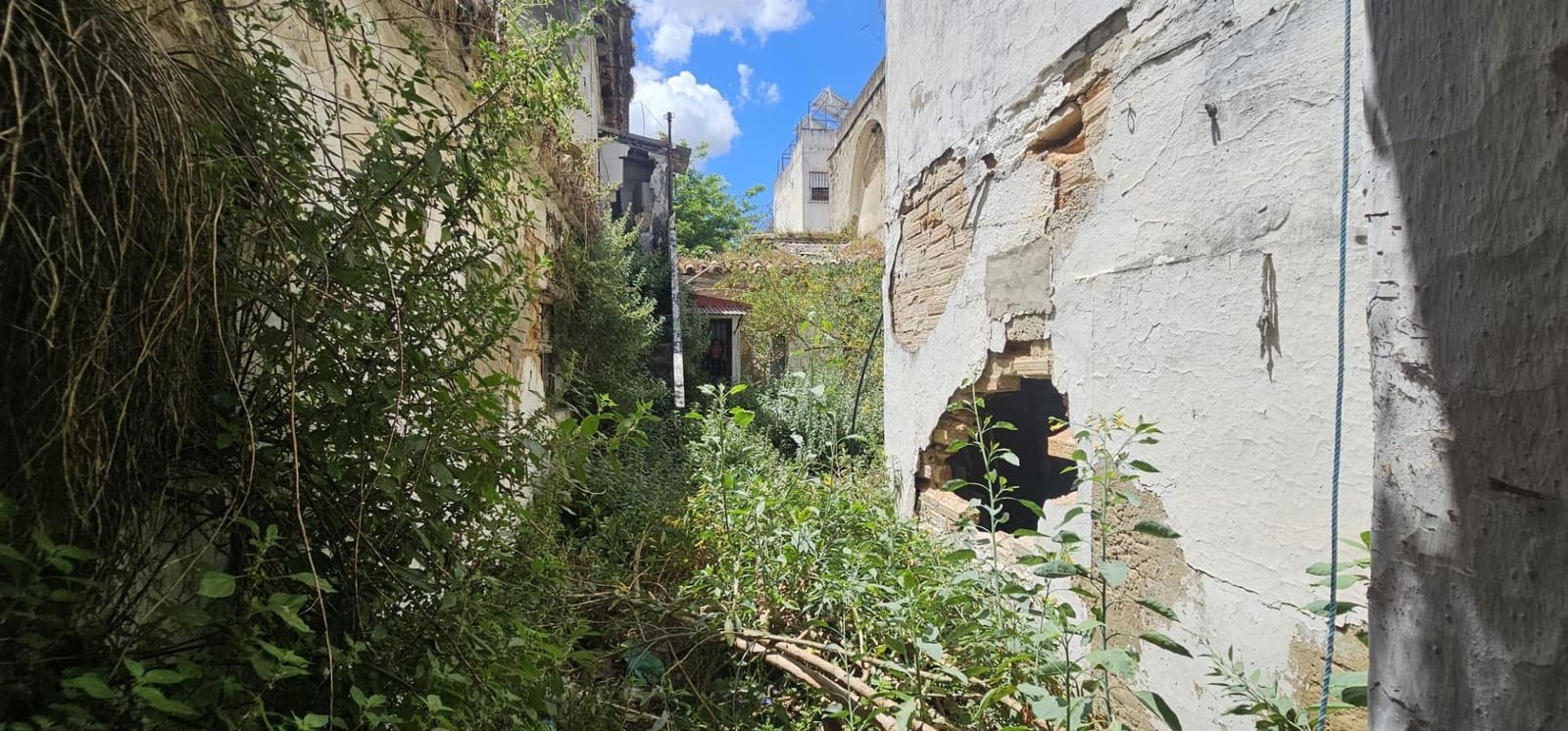 Rivitalo myytävänä paikassa Jerez de la Frontera - 220 000 € (Ref: 9890494)