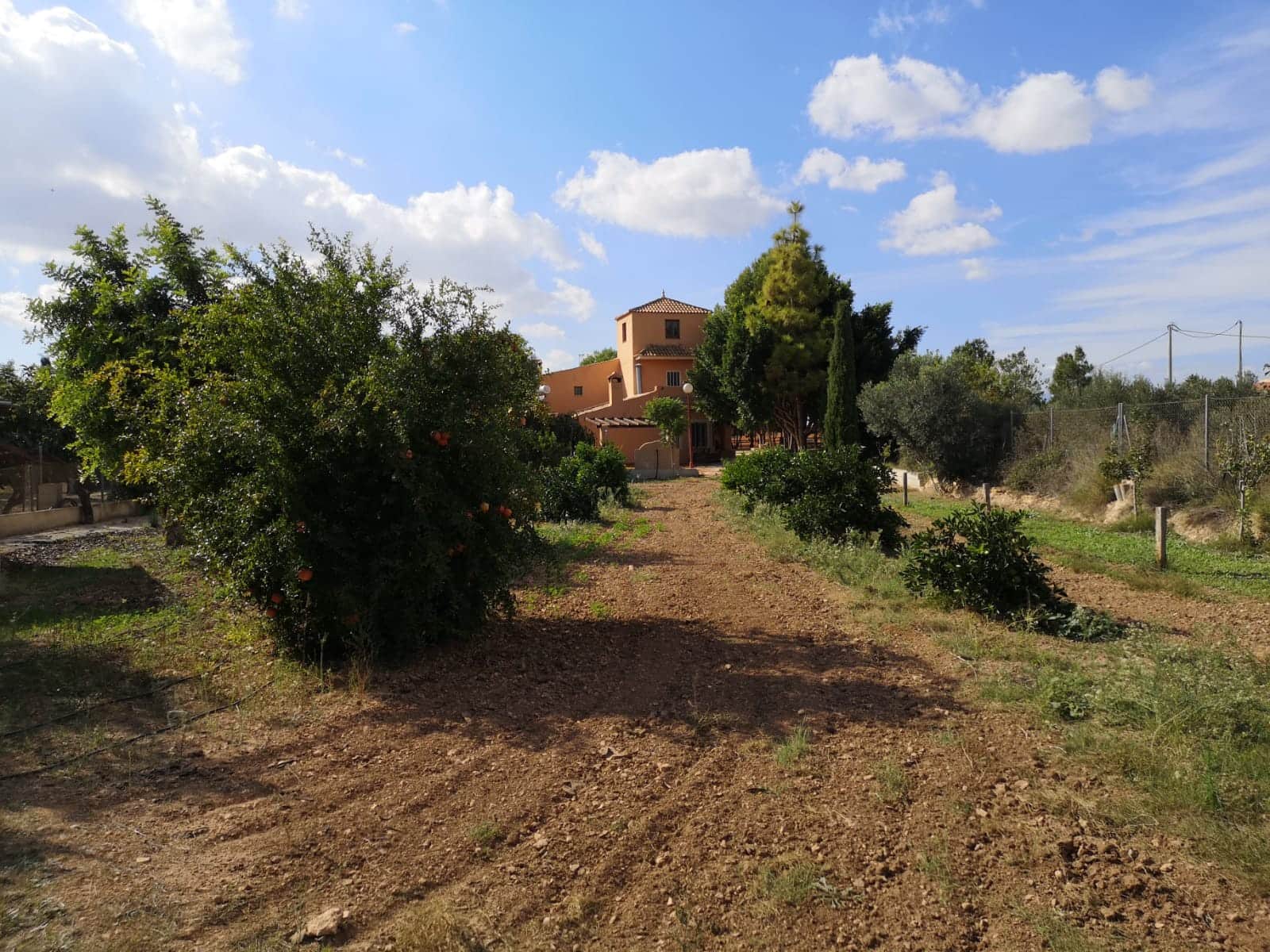 5 soverom Finca/Herregård til salgs i Fuente Alamo de Murcia med svømmebasseng - € 459 000 (Ref: 7683146)
