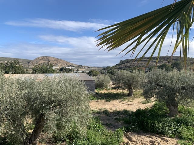 2 makuuhuone Maalaistalo myytävänä paikassa Torrellano, Elche / Elx mukana 
autotalli - 320 000 € (Ref: 9609537)