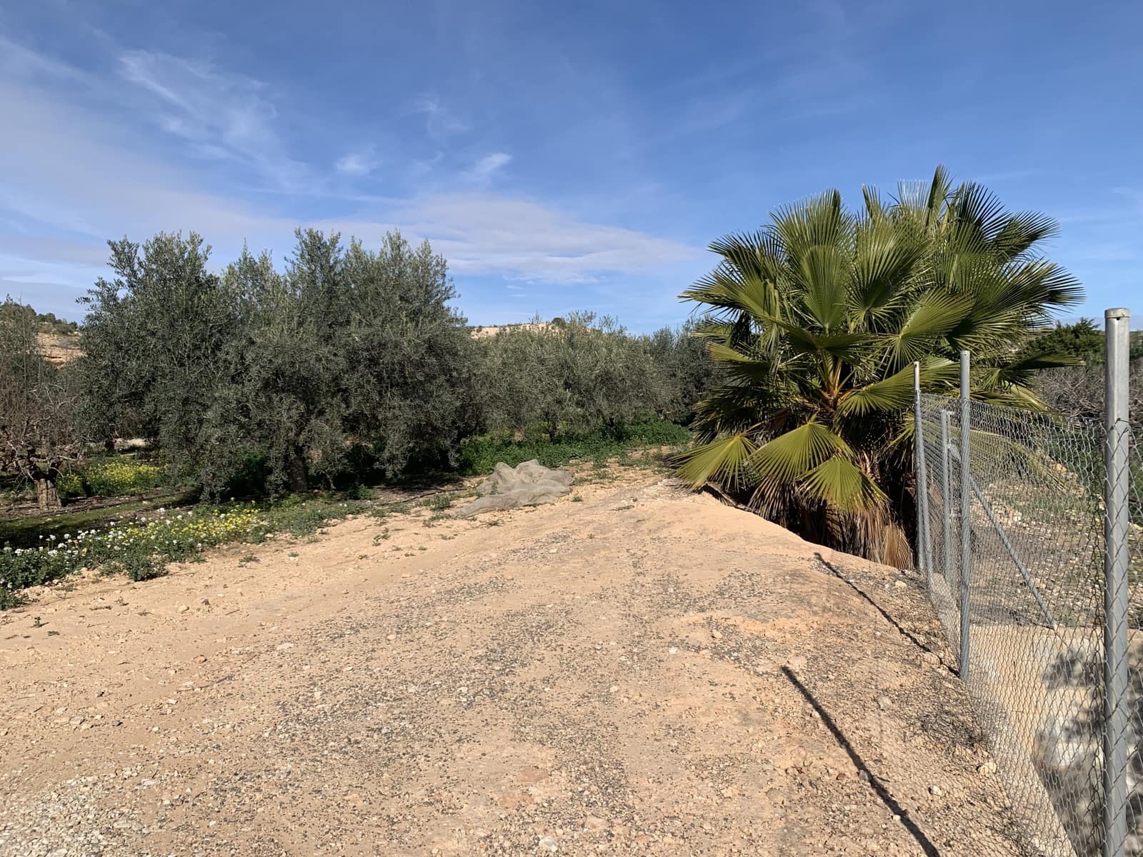 2 makuuhuone Maalaistalo myytävänä paikassa Torrellano mukana 
autotalli - 320 000 € (Ref: 9609537)