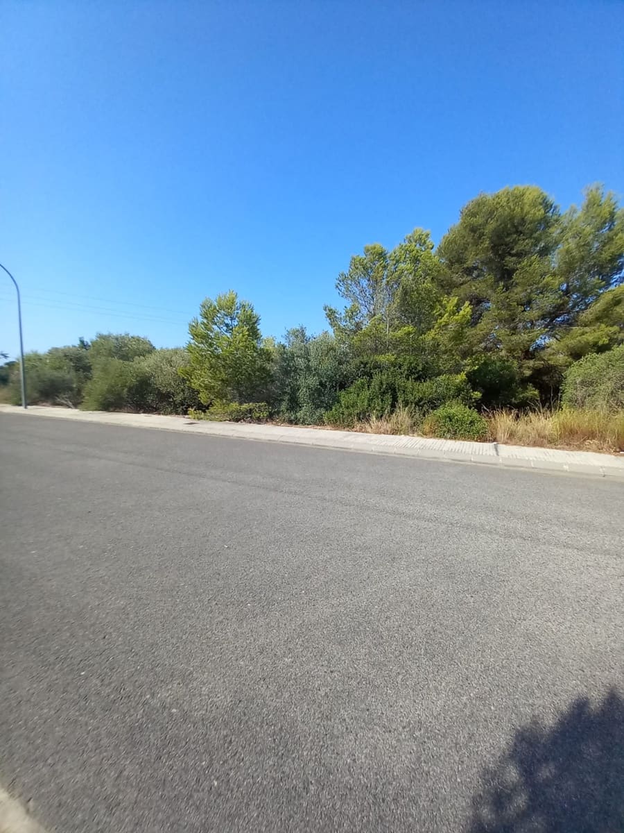 Undeveloped Land for sale in Mont-roig del Camp - € 165,000 (Ref: 10004674)