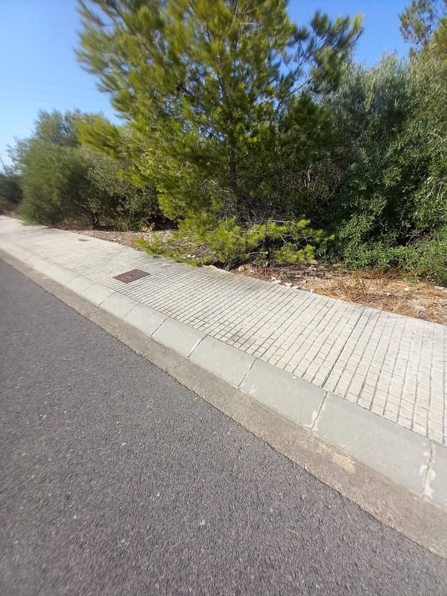 Undeveloped Land for sale in Mont-roig del Camp - € 165,000 (Ref: 10004674)
