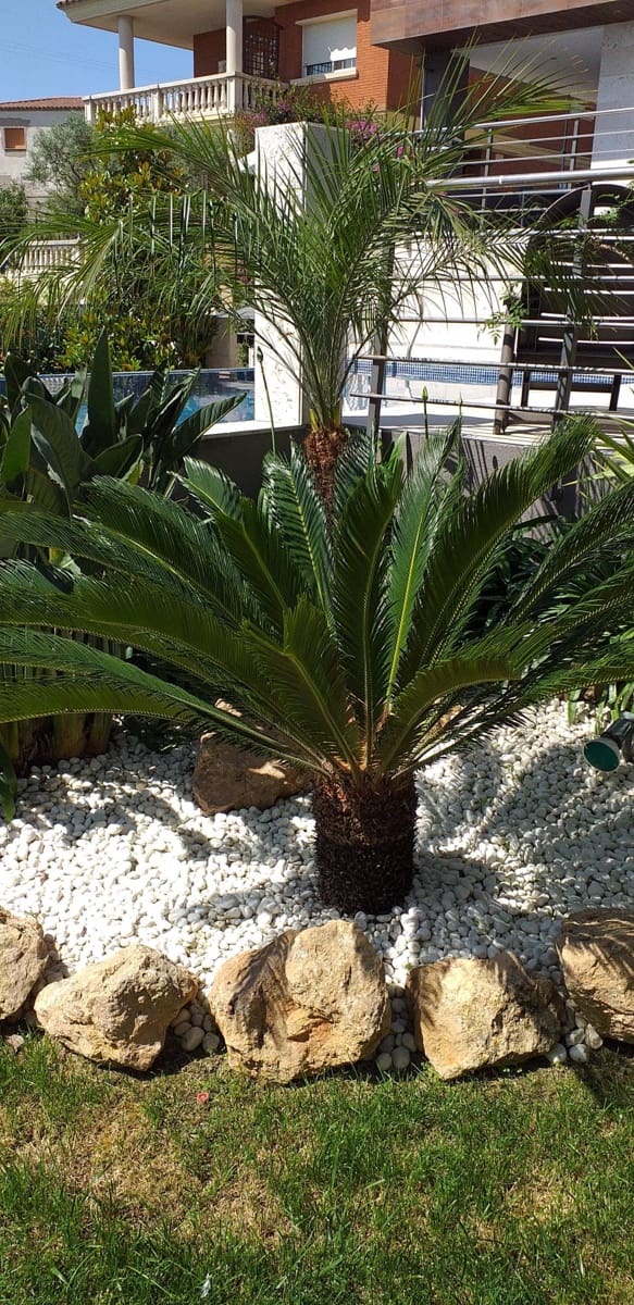 4 Zimmer Haus zu verkaufen in Tarragona Stadt mit Pool - 750.000 € (Ref: 9946716)