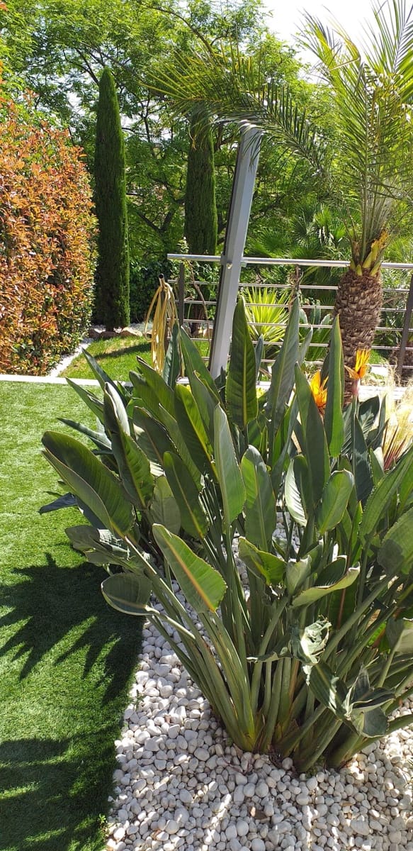 4 Zimmer Haus zu verkaufen in Tarragona Stadt mit Pool - 750.000 € (Ref: 9946716)