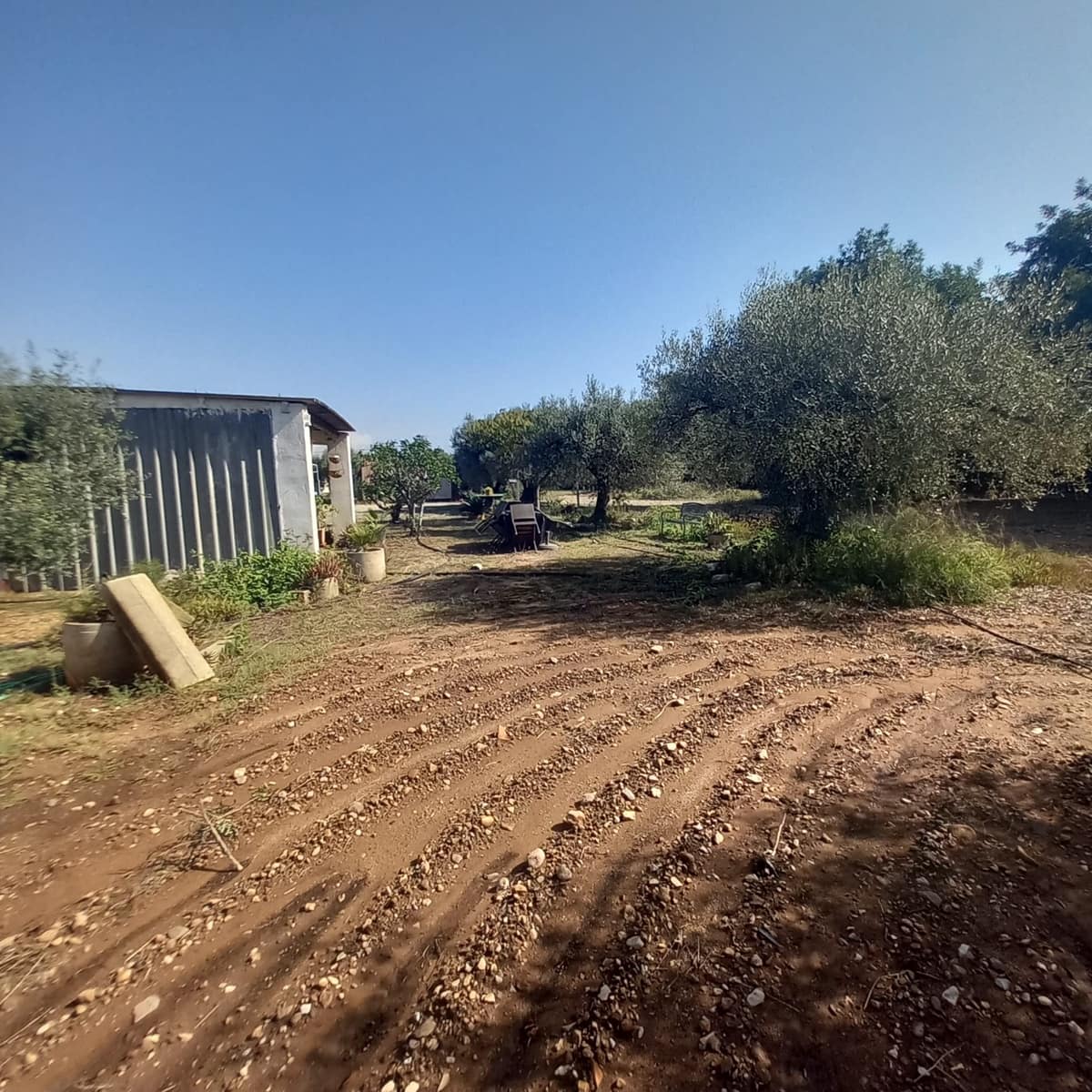 4 slaapkamer Finca/Landhuis te koop in Mont-roig del Camp - € 200.000 (Ref: 9997557)
