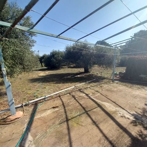 4 slaapkamer Finca/Landhuis te koop in Mont-roig del Camp - € 200.000 (Ref: 9997557)