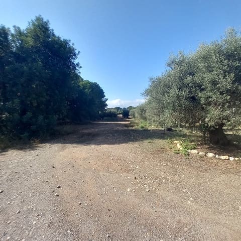 4 slaapkamer Finca/Landhuis te koop in Mont-roig del Camp - € 200.000 (Ref: 9997557)