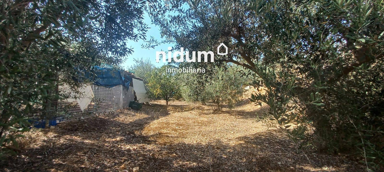 4 soverom Villa til salgs i Rafelguaraf med svømmebasseng garasje - € 155 000 (Ref: 10073104)