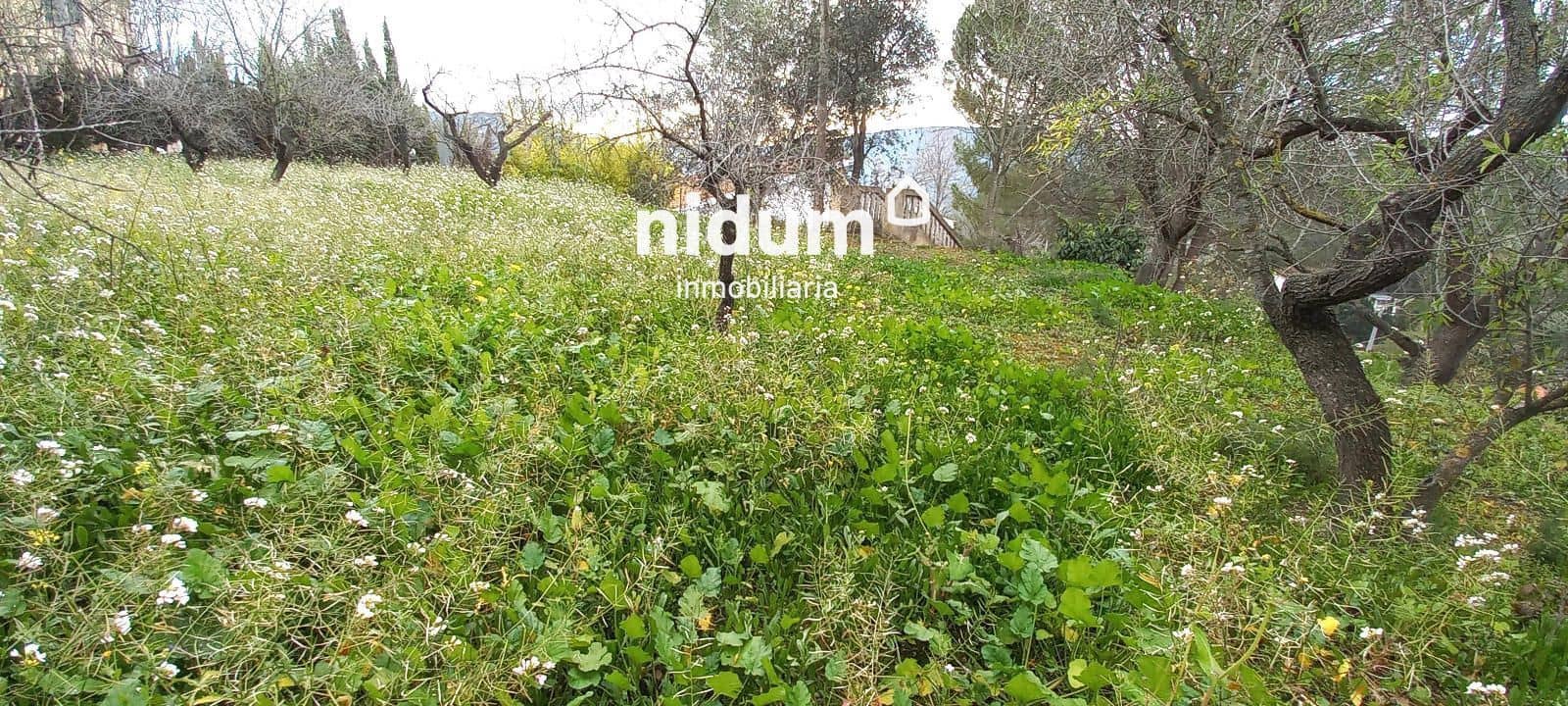 5 soveværelse Villa til salg i Xativa med swimmingpool garage - € 410.000 (Ref: 8756901)