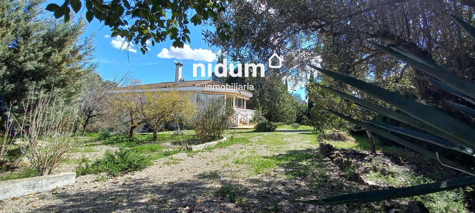 5 bedroom Villa for sale in Xativa with pool garage - € 427,000 (Ref: 8894033)