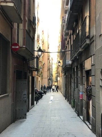 Commercial for rent in El Barri Gòtic, Barcelona city - € 6,800 (Ref: 9270101)
