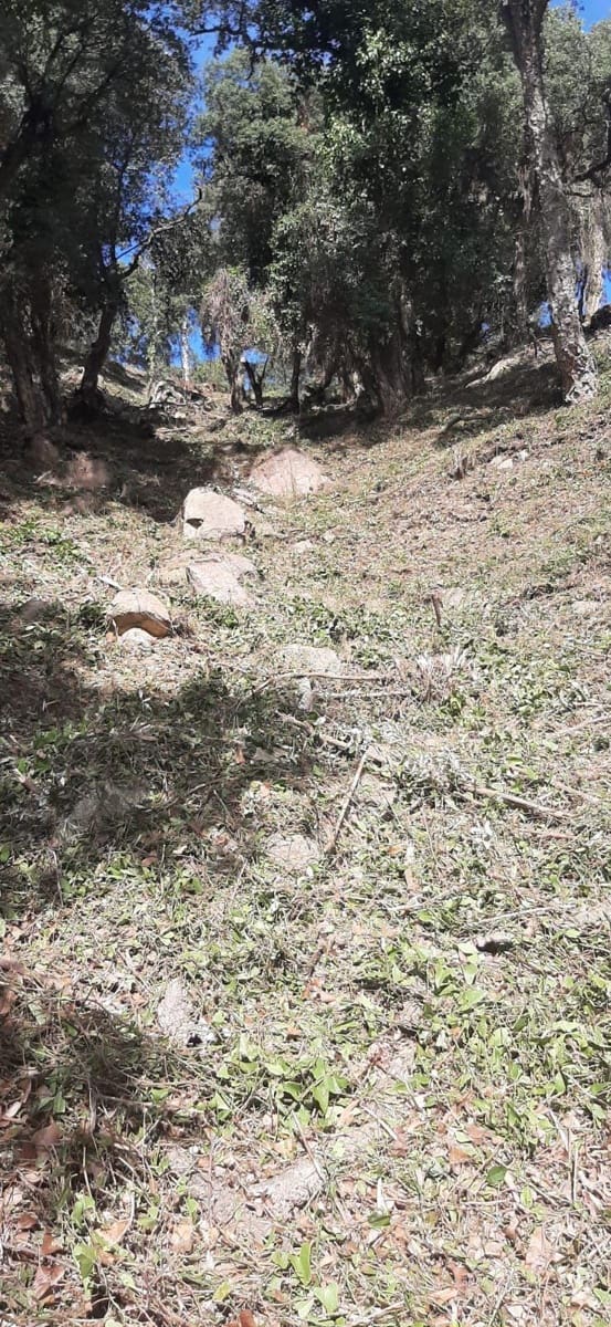 Building Plot for sale in Santa Cristina d'Aro - € 70,000 (Ref: 9270141)