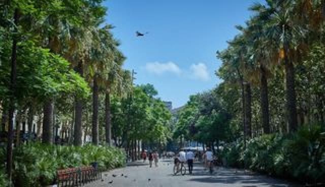 Leilighet til salgs i El Barri Gòtic, Barcelona by - € 980 000 (Ref: 9270208)