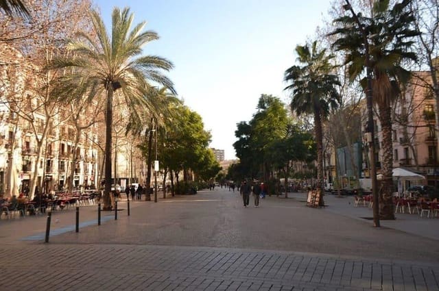 1 Zimmer Gewerbe zu verkaufen in El Raval, Barcelona Stadt - 290.000 € (Ref: 9975399)