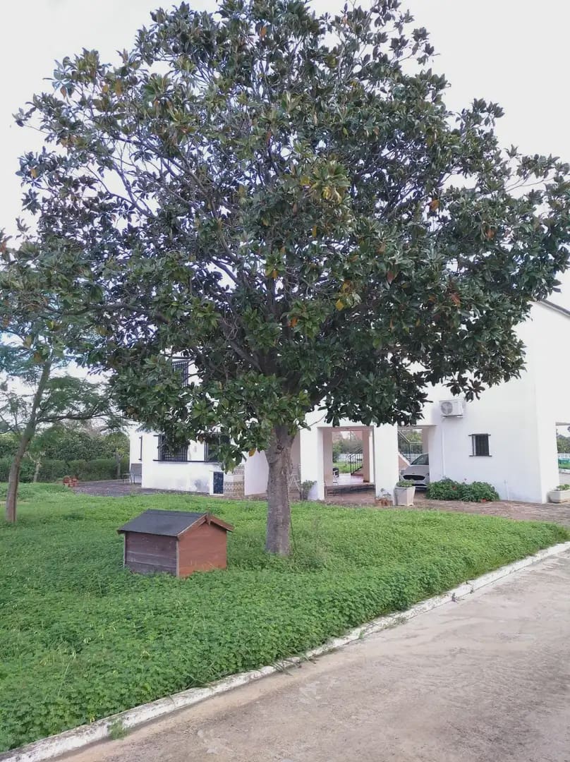 5 bedroom Finca/Country House for sale in Alzira with pool garage - € 500,000 (Ref: 9832113)