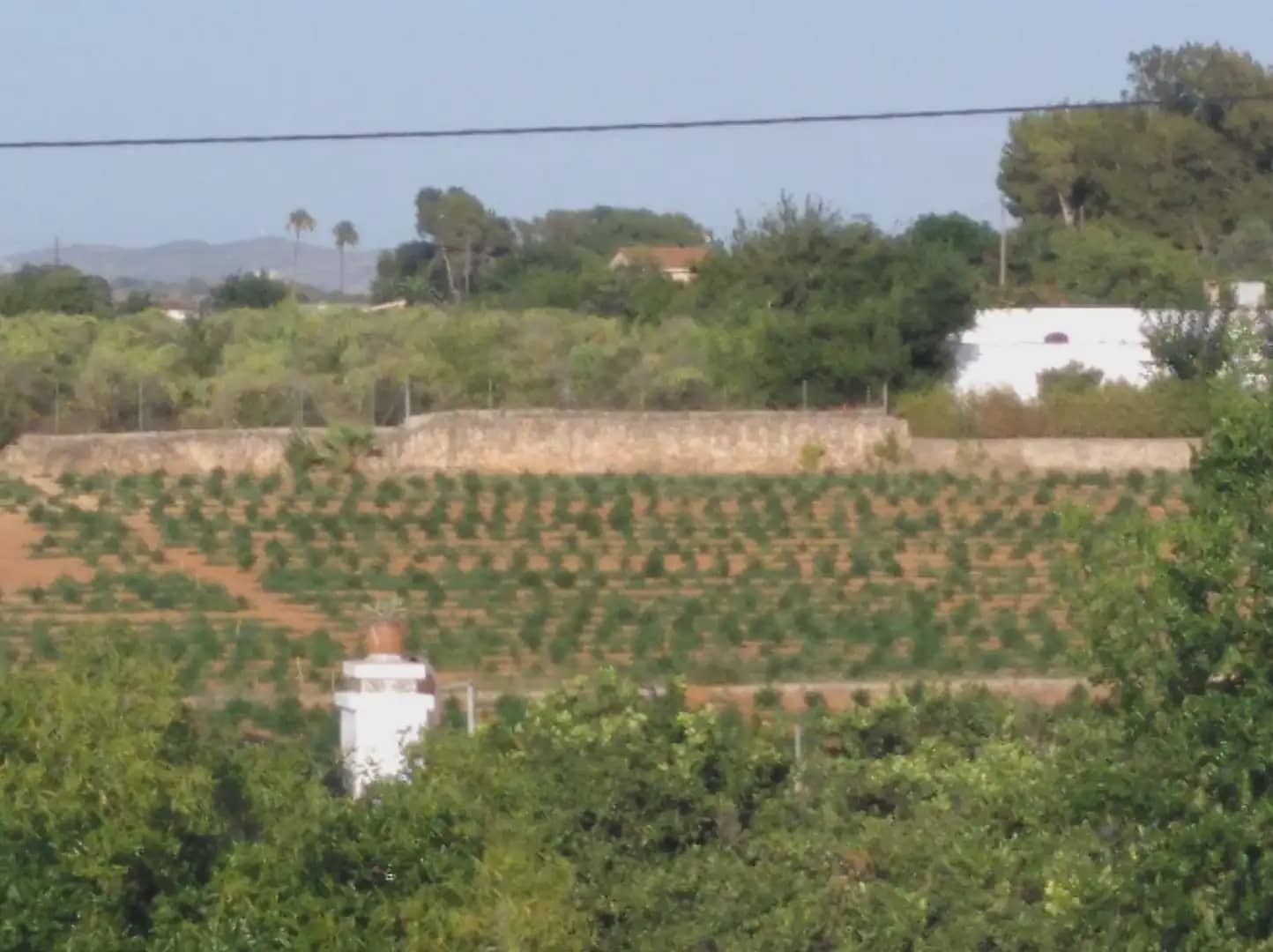5 bedroom Finca/Country House for sale in Alzira with pool garage - € 500,000 (Ref: 9832113)