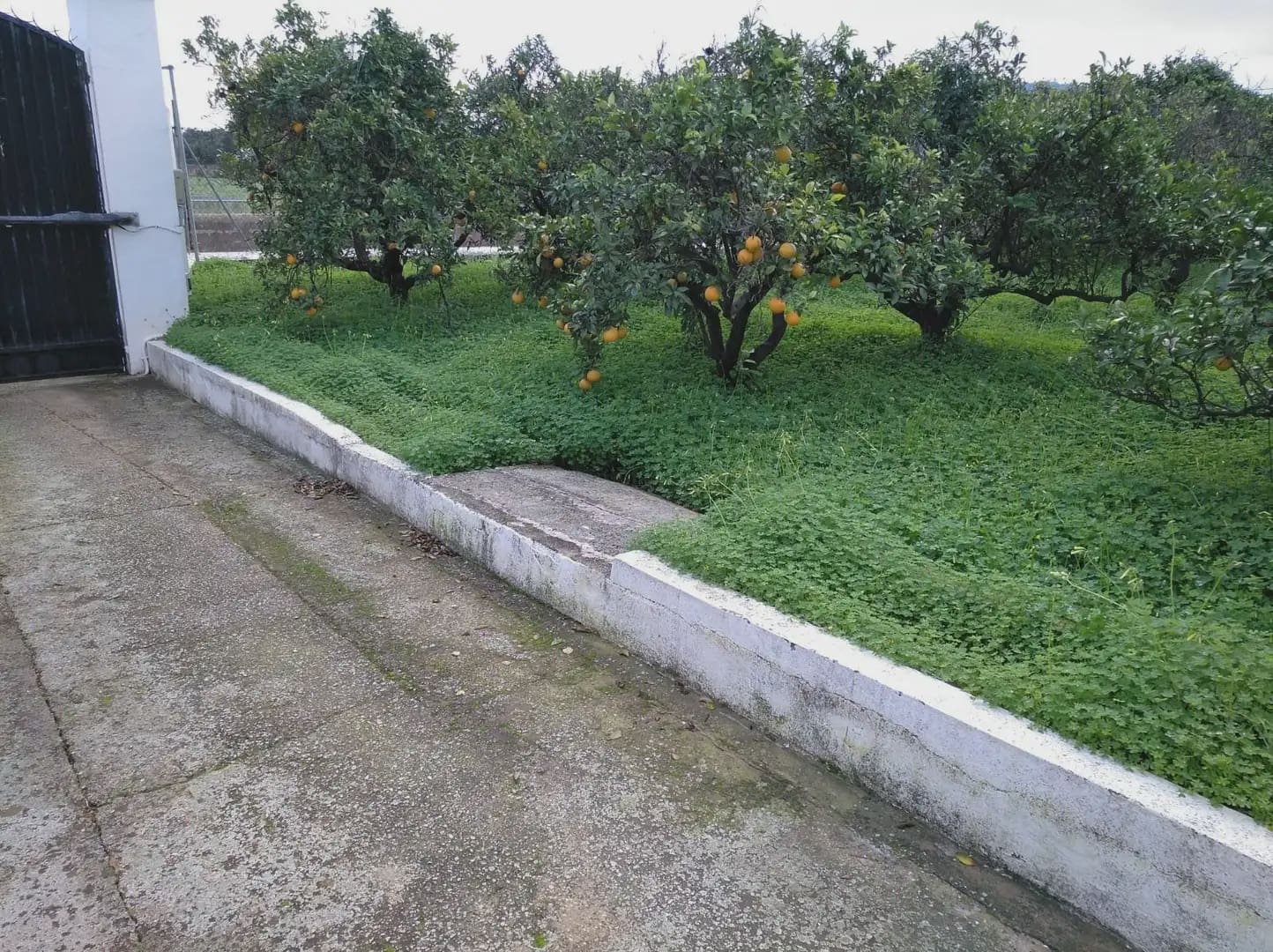 5 bedroom Finca/Country House for sale in Alzira with pool garage - € 500,000 (Ref: 9832113)