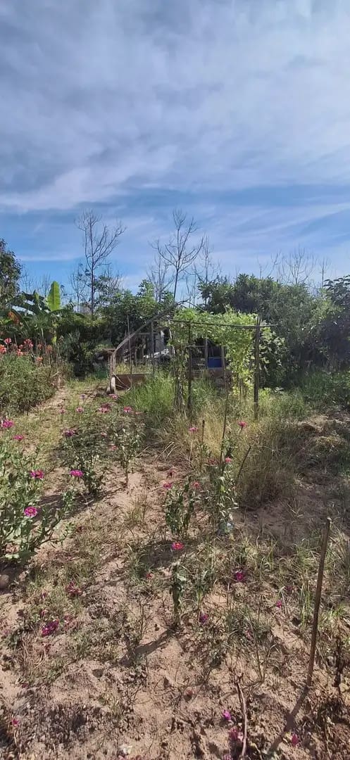 Finca/Casa Rural en Cullera en venta con garaje - 145.000 € (Ref: 9832114)