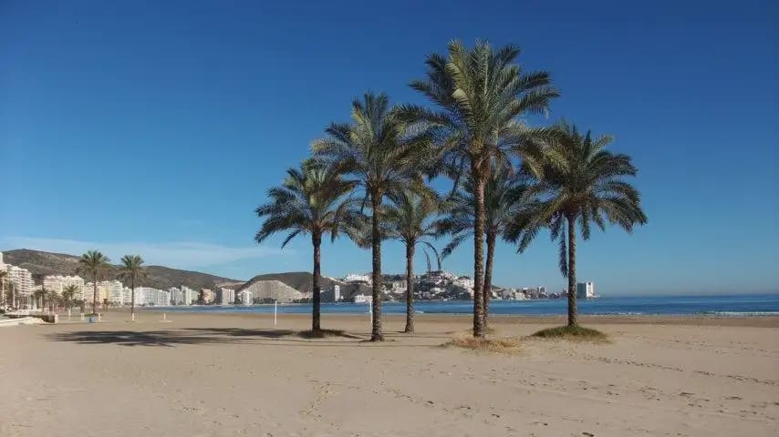 Kommersiell till salu i Cullera - 235 000 € (Ref: 9832208)