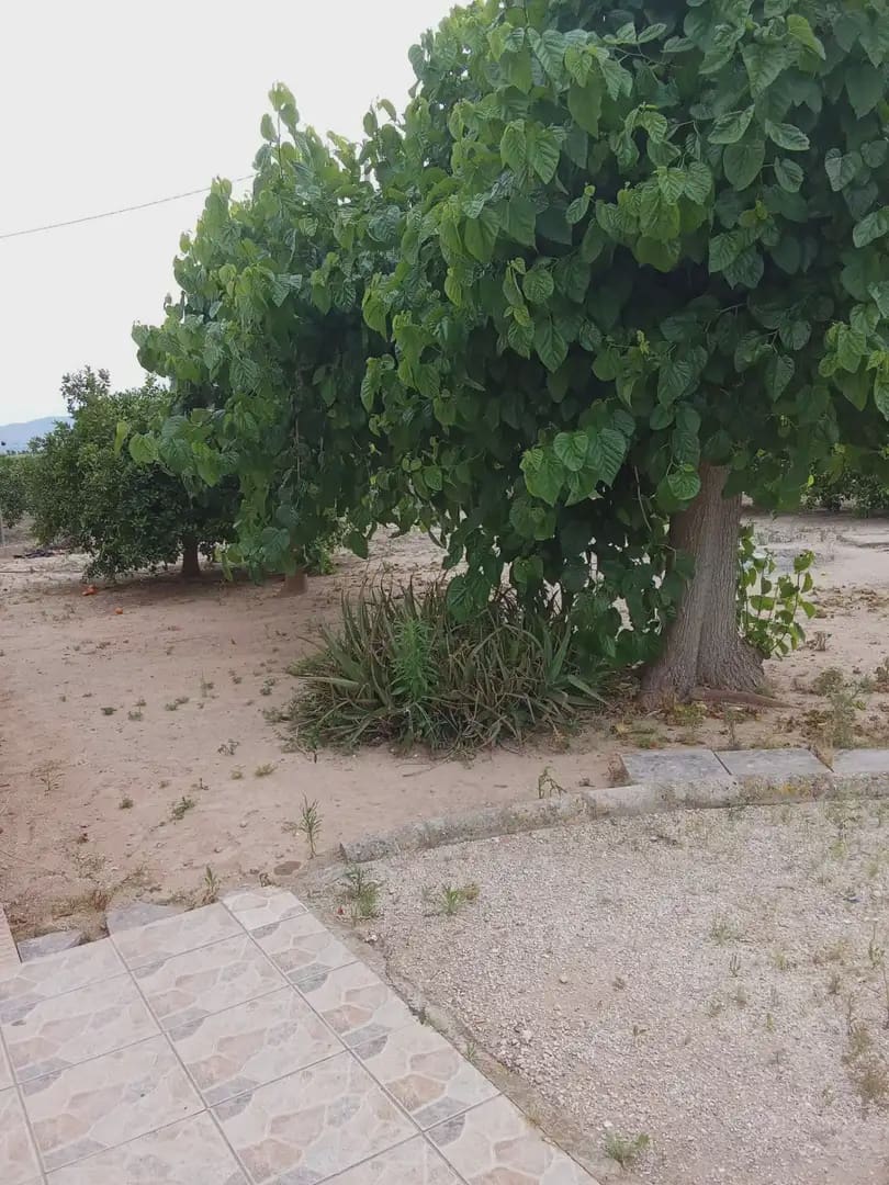 3 camera da letto Finca/Casa di Campagna in vendita in Cullera con garage - 315.000 € (Rif: 9885179)