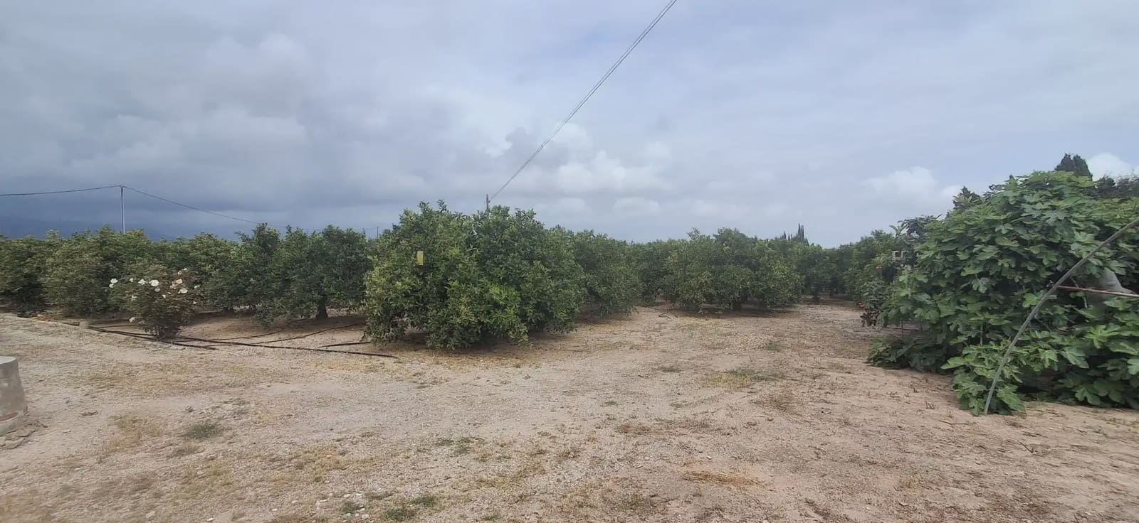 3 camera da letto Finca/Casa di Campagna in vendita in Cullera con garage - 315.000 € (Rif: 9885179)