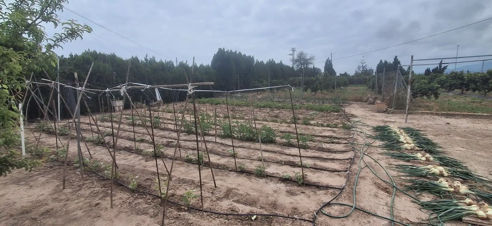 3 camera da letto Finca/Casa di Campagna in vendita in Cullera con garage - 315.000 € (Rif: 9885179)
