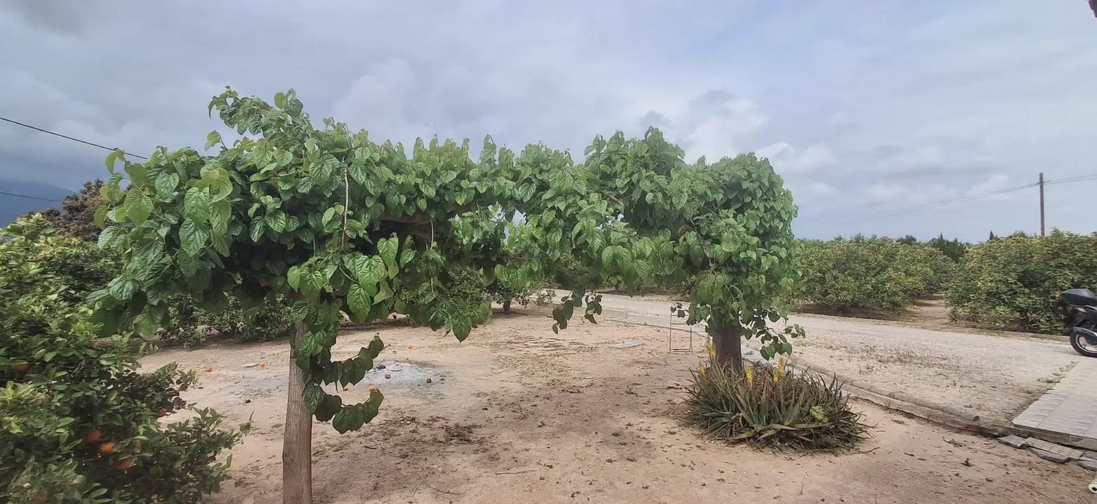 3 camera da letto Finca/Casa di Campagna in vendita in Cullera con garage - 315.000 € (Rif: 9885179)