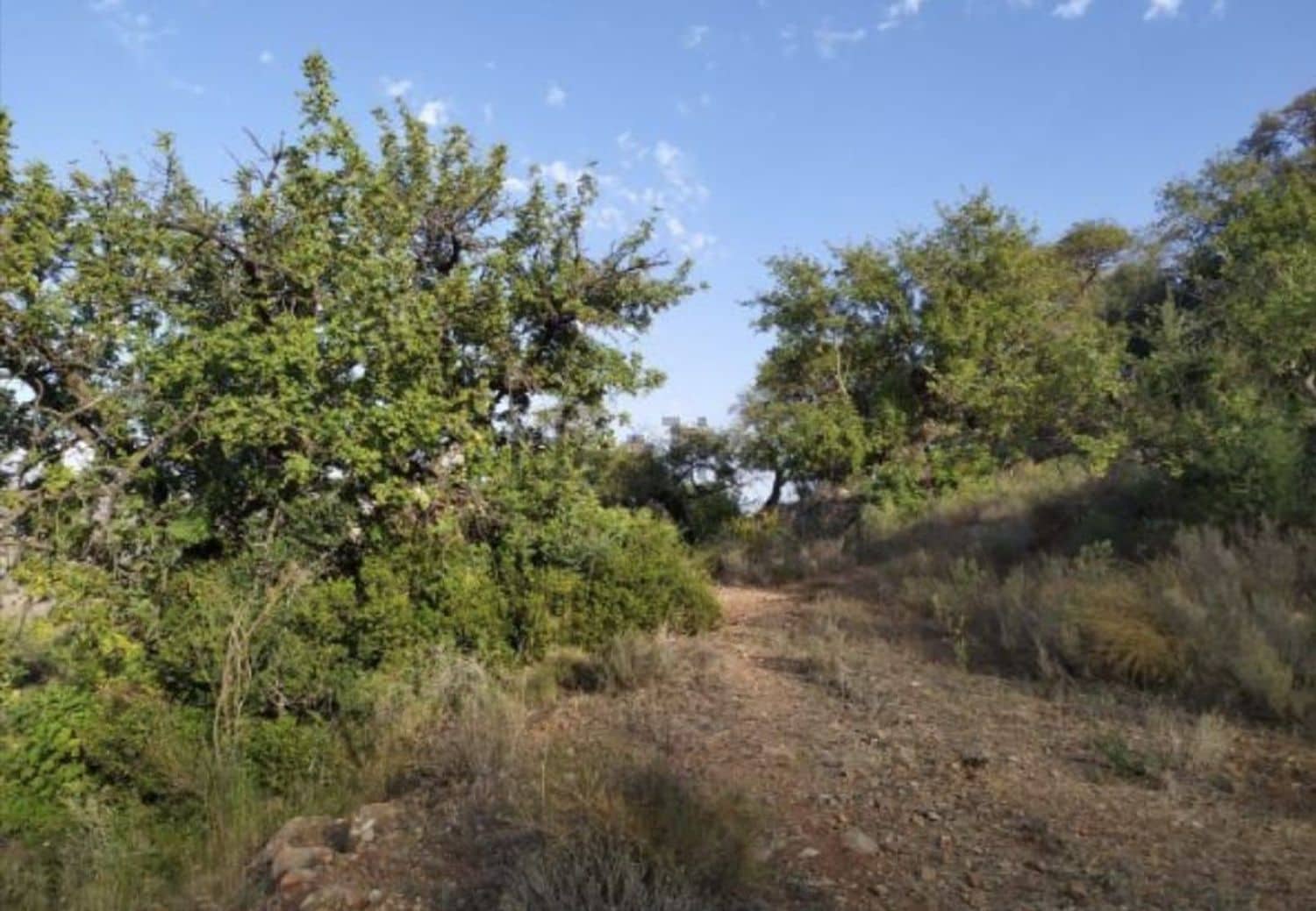 Landgrundstück zu verkaufen in Malaga Stadt - 56.000 € (Ref: 9014958)