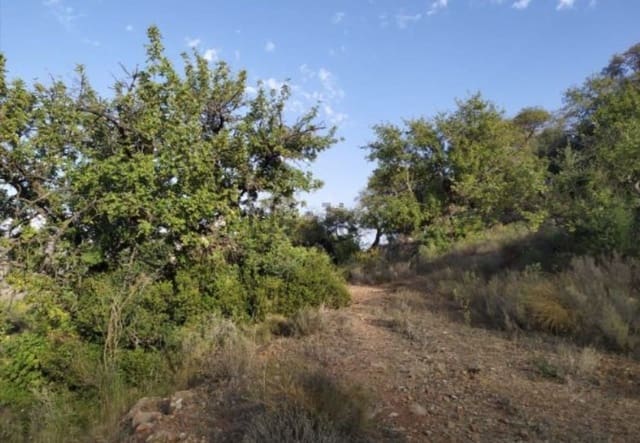 Terre non Aménagée à vendre à Malaga ville - 56 000 € (Ref: 9014958)