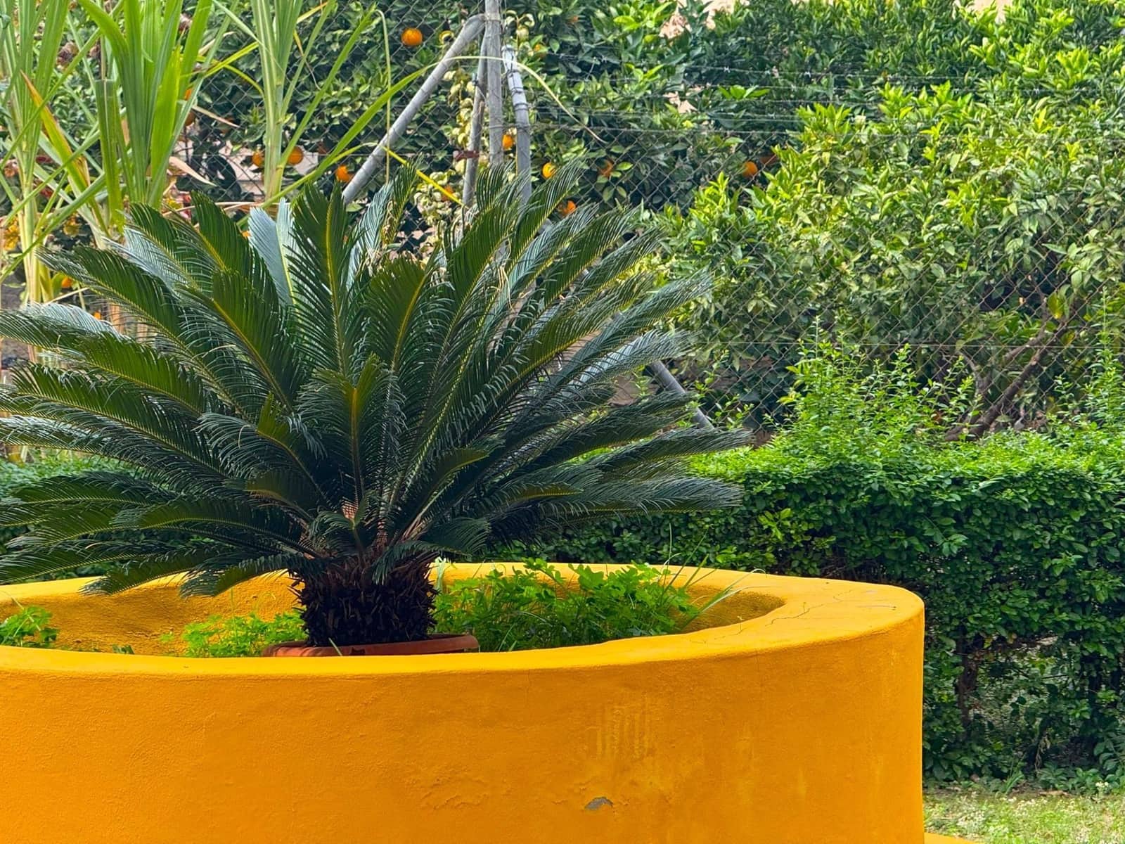 2 bedroom Flat for sale in Malaga city - € 218,000 (Ref: 9506007)