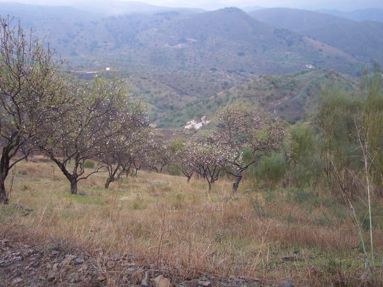 Terreno Non Edificato in vendita in Cartama - 55.000 € (Rif: 9506017)