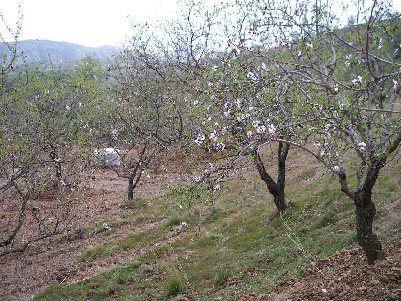 Terreno Non Edificato in vendita in Cartama - 55.000 € (Rif: 9506017)