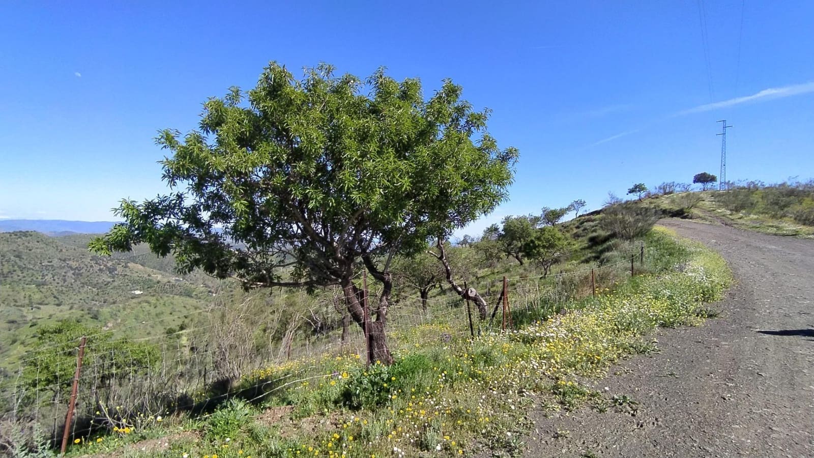 Terreno Non Edificato in vendita in Cartama - 55.000 € (Rif: 9506017)