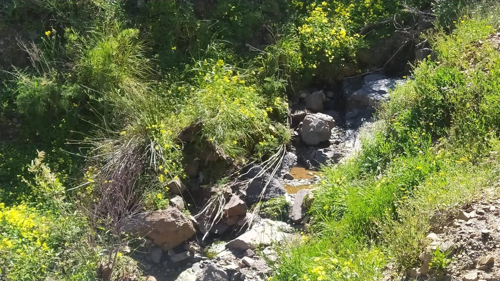 Terreno Non Edificato in vendita in Cartama - 55.000 € (Rif: 9506017)