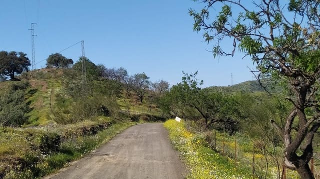 Terreno Non Edificato in vendita in Cártama - 55.000 € (Rif: 9506017)