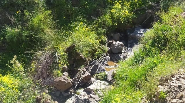 Terreno Non Edificato in vendita in Cártama - 55.000 € (Rif: 9506017)