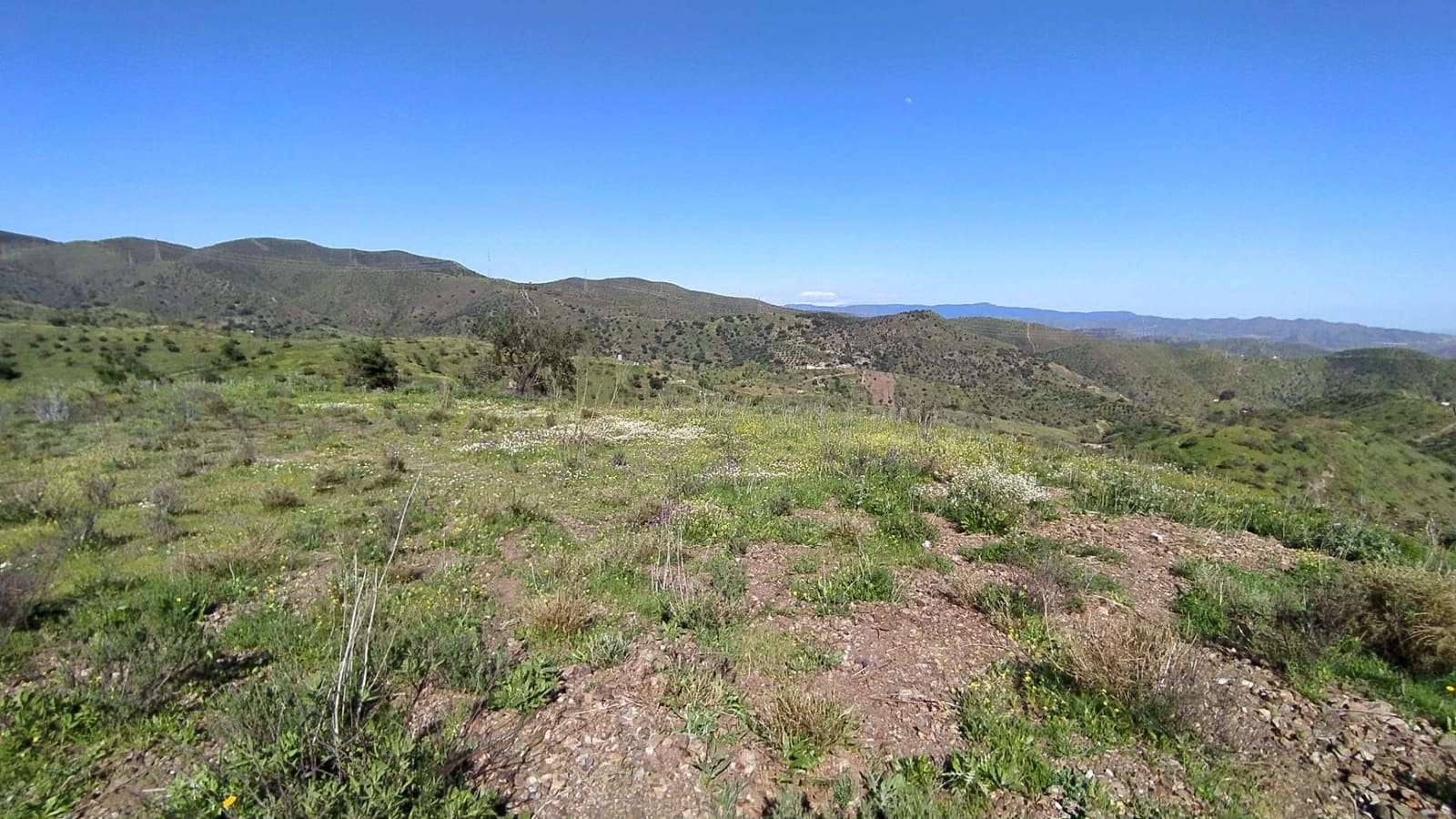 Terreno Non Edificato in vendita in Cartama - 55.000 € (Rif: 9506017)